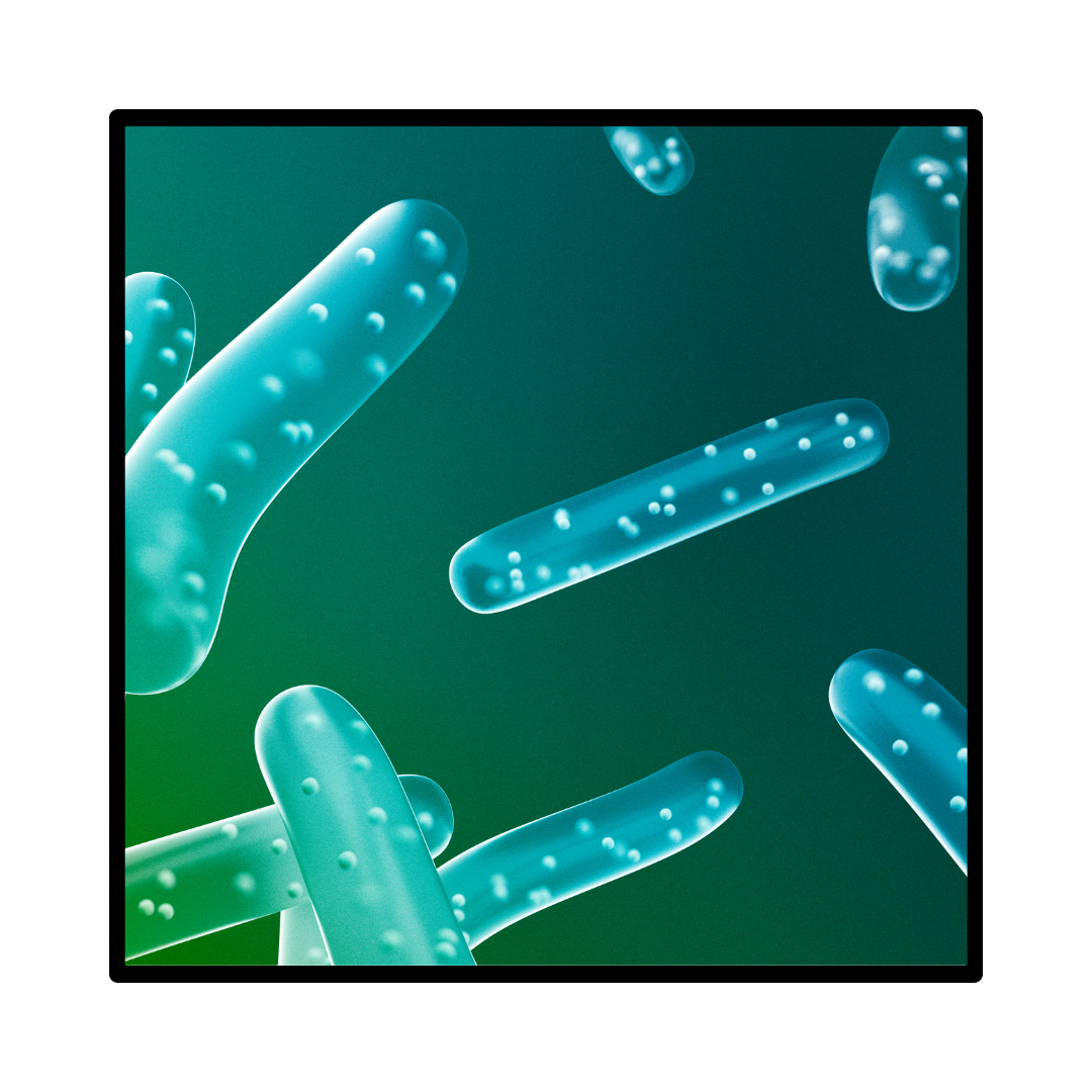 Exploring the Link Between Greens Supplements and Improved Digestive Health
