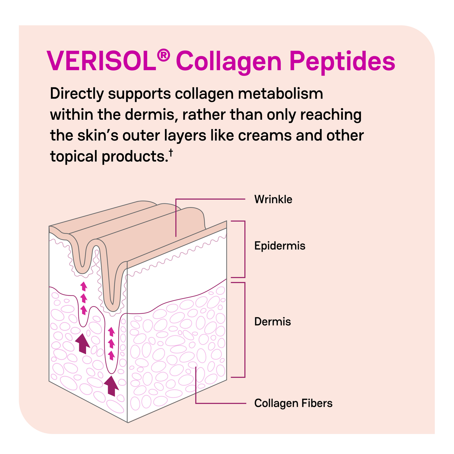 Zena Liquid Collagen + Biotin