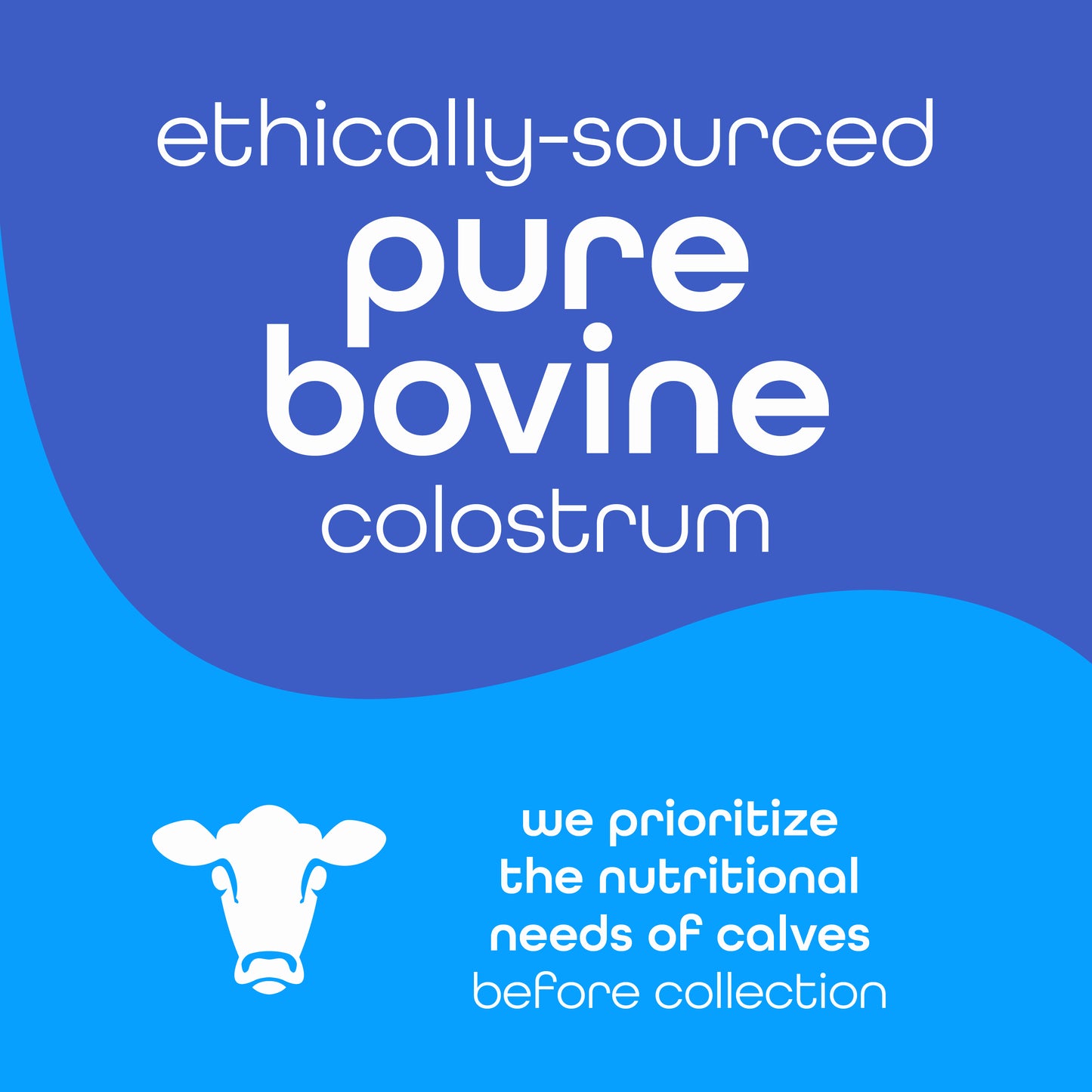 Zena Pure Colostrum Powder