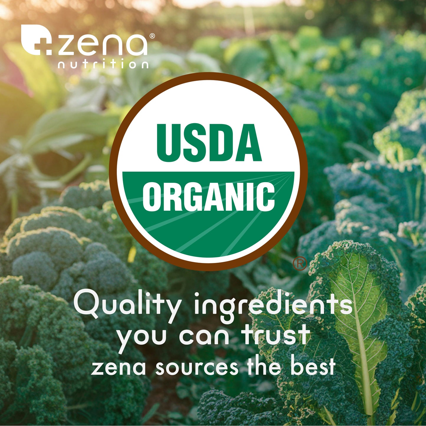 Zena Organic Supergreens 45 Servings Stick Pack